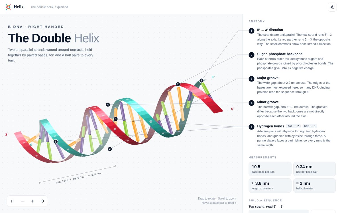 Helix — The Double Helix Explained screenshot