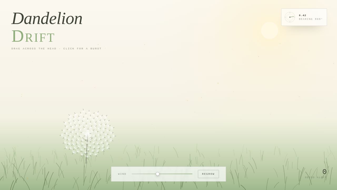 Dandelion Drift — a meadow head letting go, seed by seed — screenshot