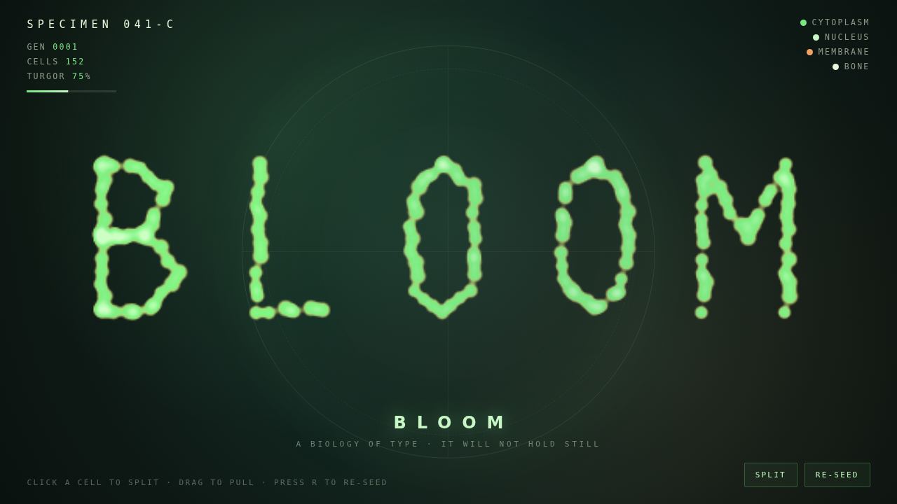 Living Letterforms — a word that refuses to hold still — screenshot