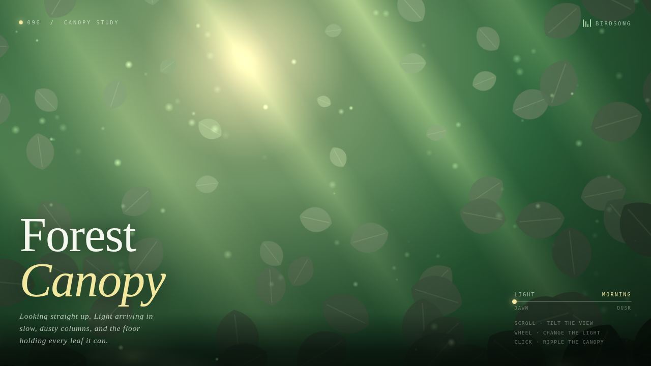 Forest Canopy — Light Arriving in Slow, Dusty Columns — screenshot