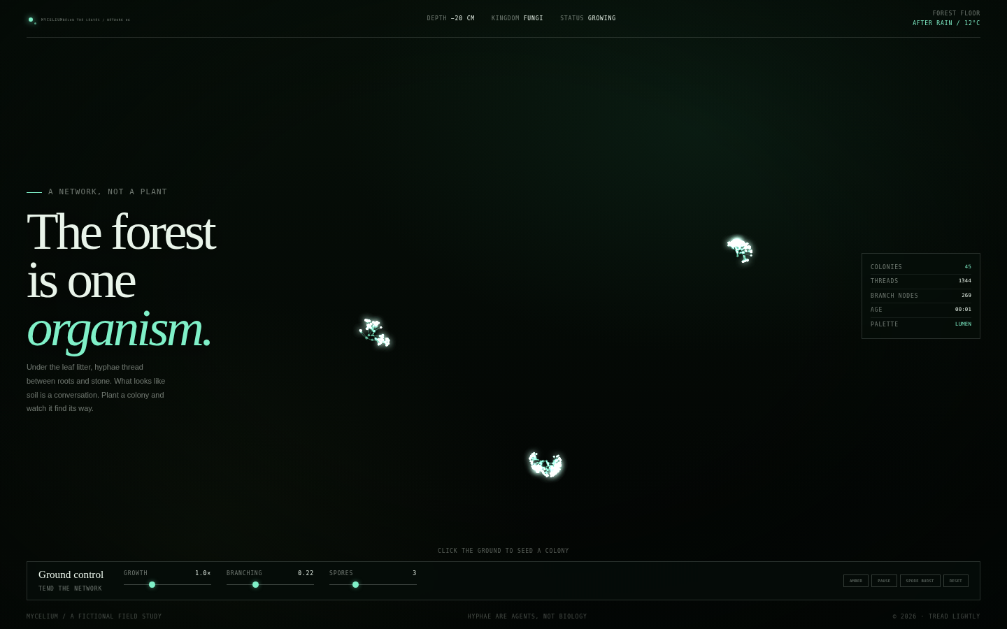 Mycelium — The Ground Is Talking screenshot