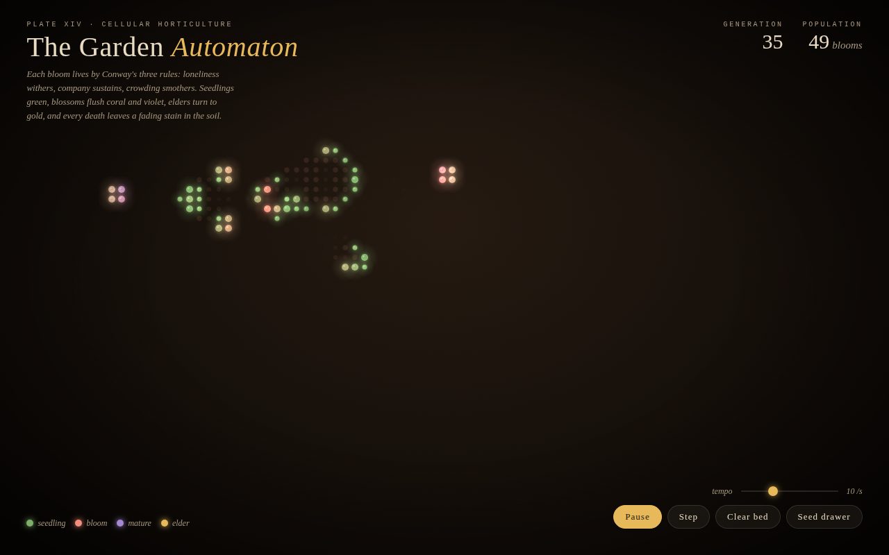 The Garden Automaton — Conway's Life as a Living Bed screenshot