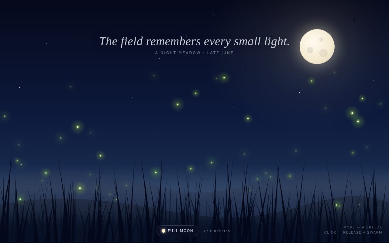 Night Meadow — Fireflies screenshot