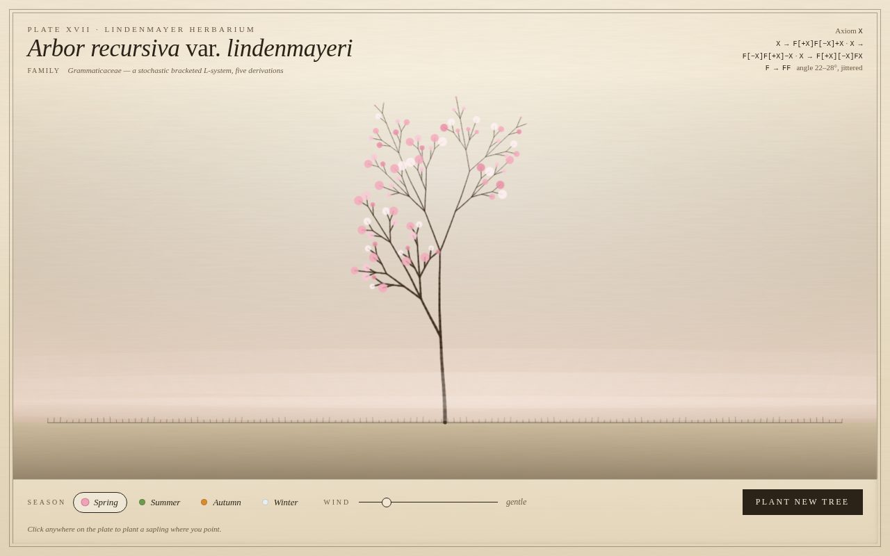 Arbor recursiva — Generative L-System Botanical Plate screenshot