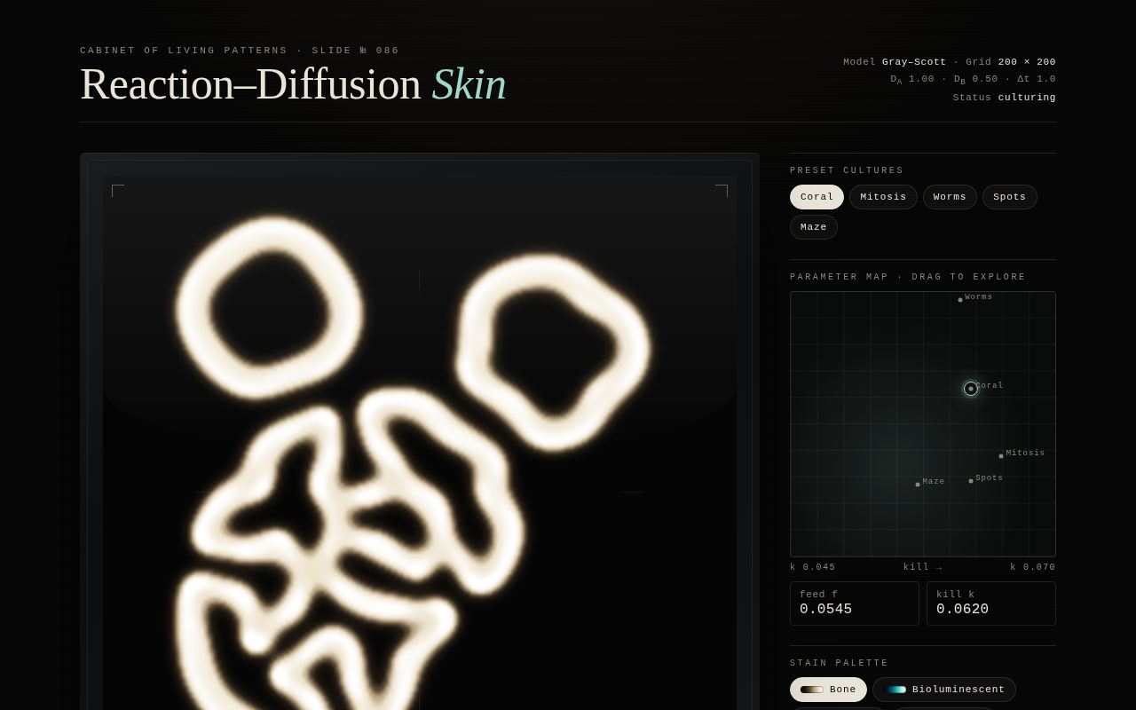 Reaction-Diffusion Skin — Specimen Slide 086 screenshot