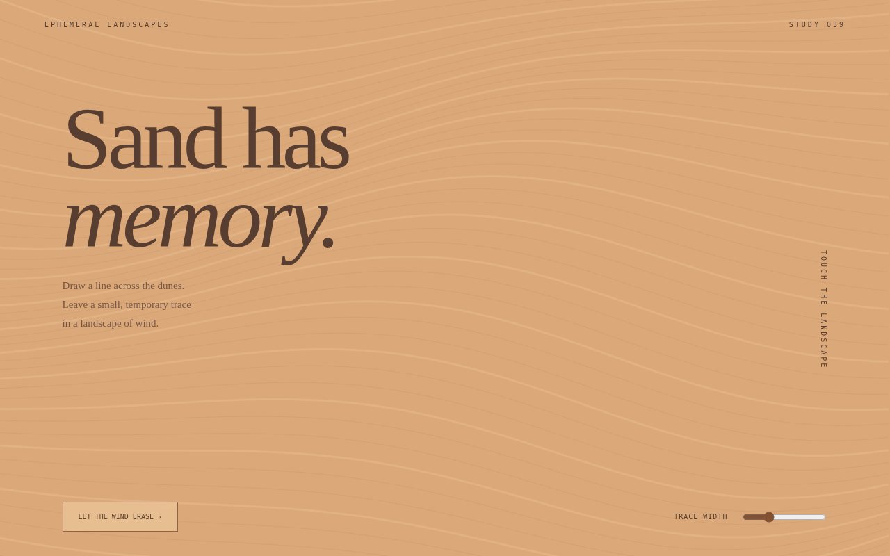 Sand Has Memory — screenshot