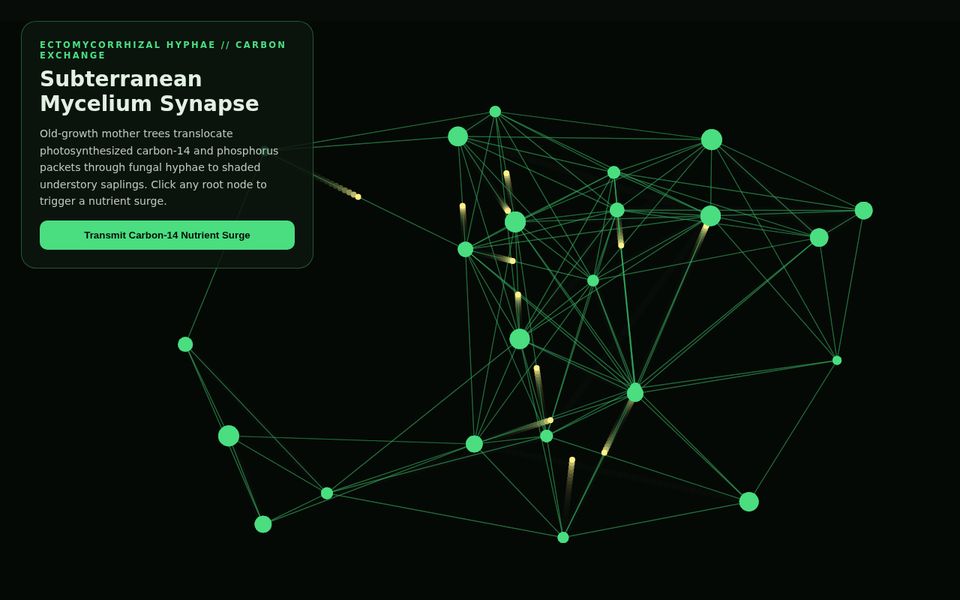 Rhizomorphic Network — Mycorrhizal Forest Symbiosis screenshot