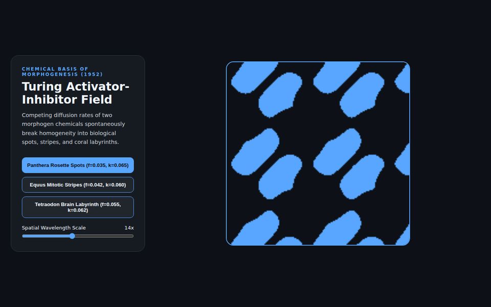 Turing Morphogenesis 1952 — Reaction-Diffusion Cellular Lab screenshot