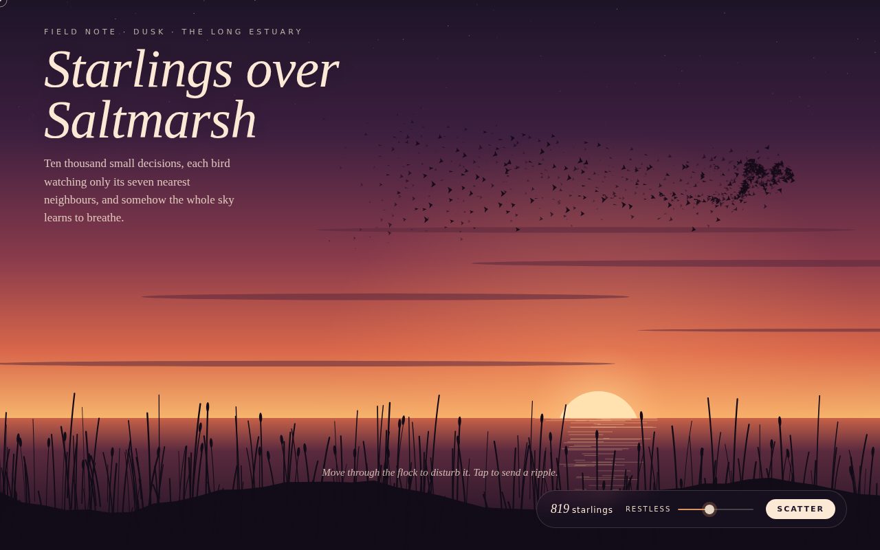Screenshot of Starlings over Saltmarsh