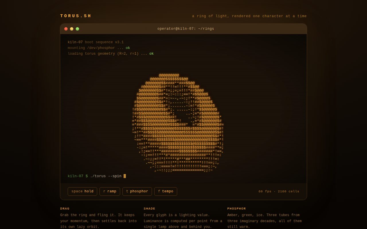 Screenshot of torus.sh Amber Terminal