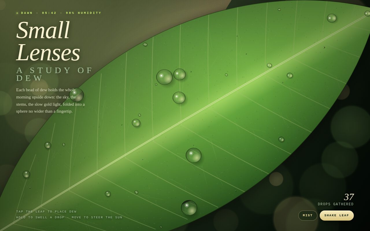 Screenshot of Small Lenses at Dawn