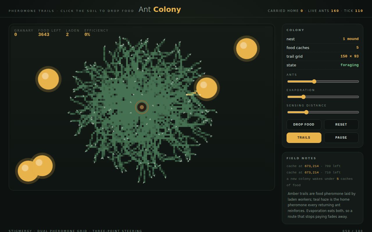 Screenshot of Ant Colony — Pheromone Trails on Living Soil