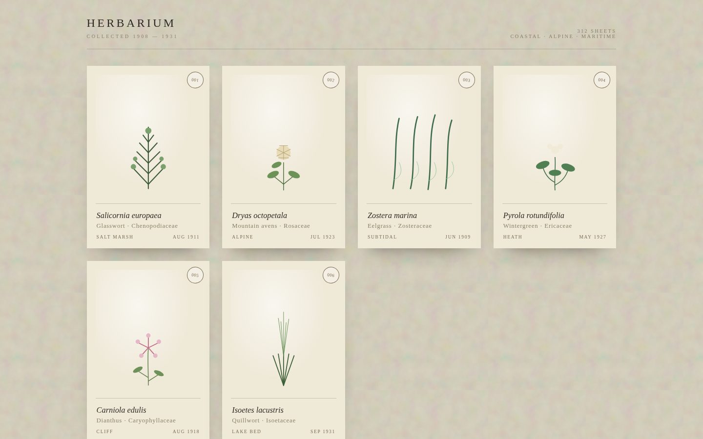 HERBARIUM — a pressed collection screenshot