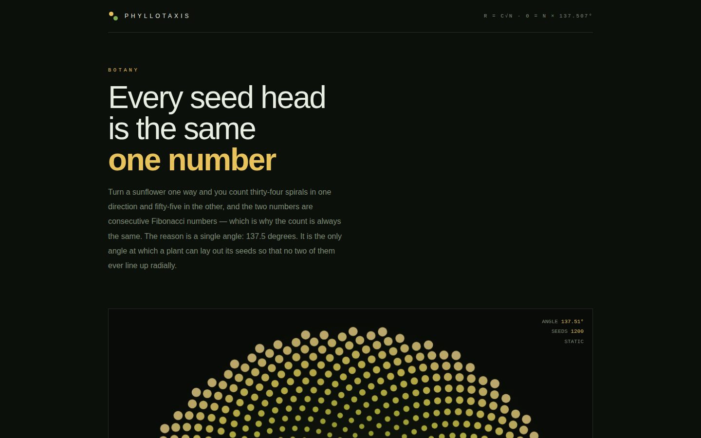 PHYLLOTAXIS — one angle, two hundred and thirty-three screenshot