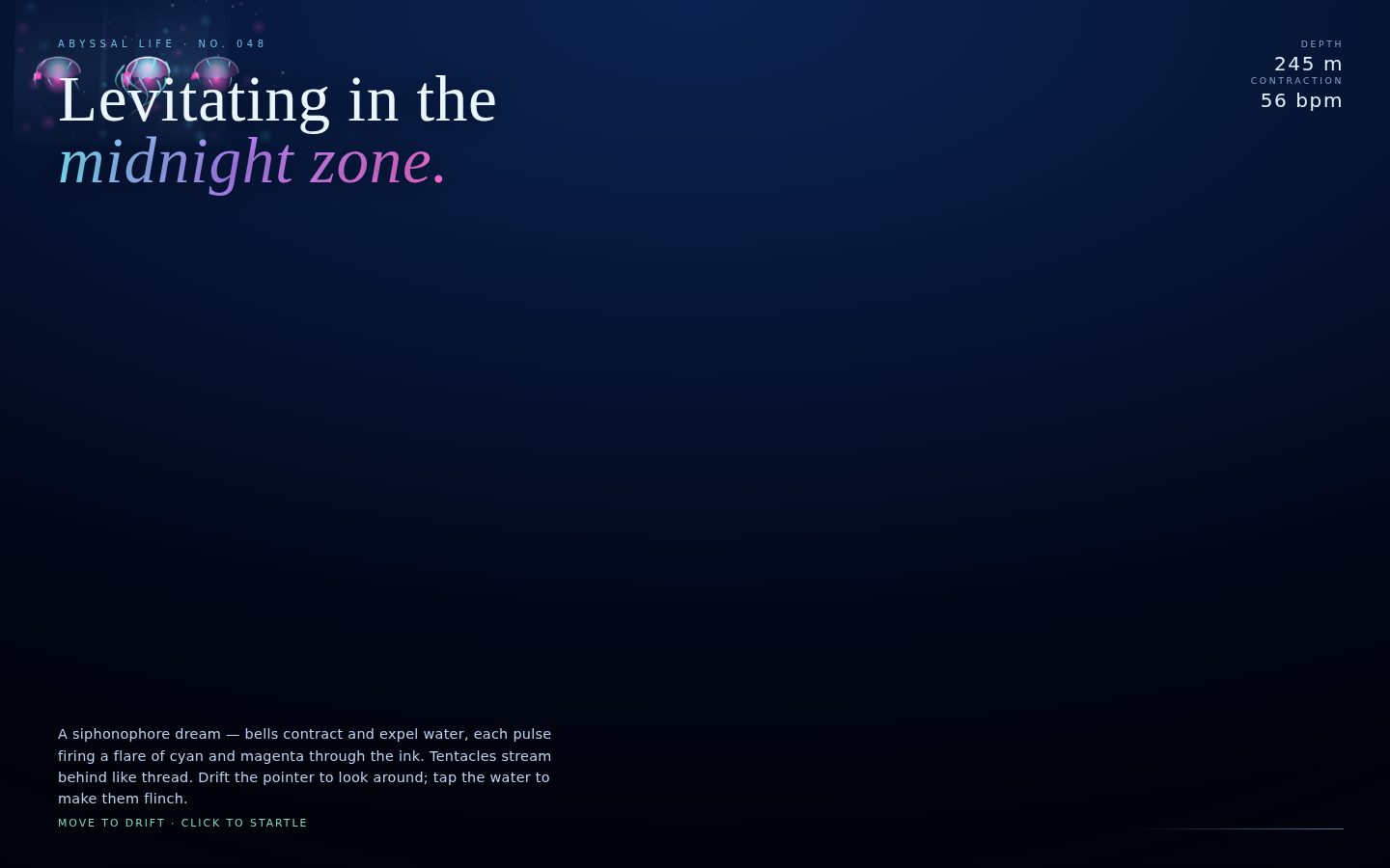Levitating in the Midnight Zone — Bioluminescent Jellyfish screenshot