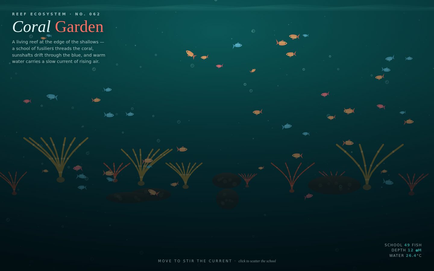 REEF No. 062 — "Coral Garden" (A living reef with a boid school of fusiliers, sunshafts and rising bubbles) screenshot