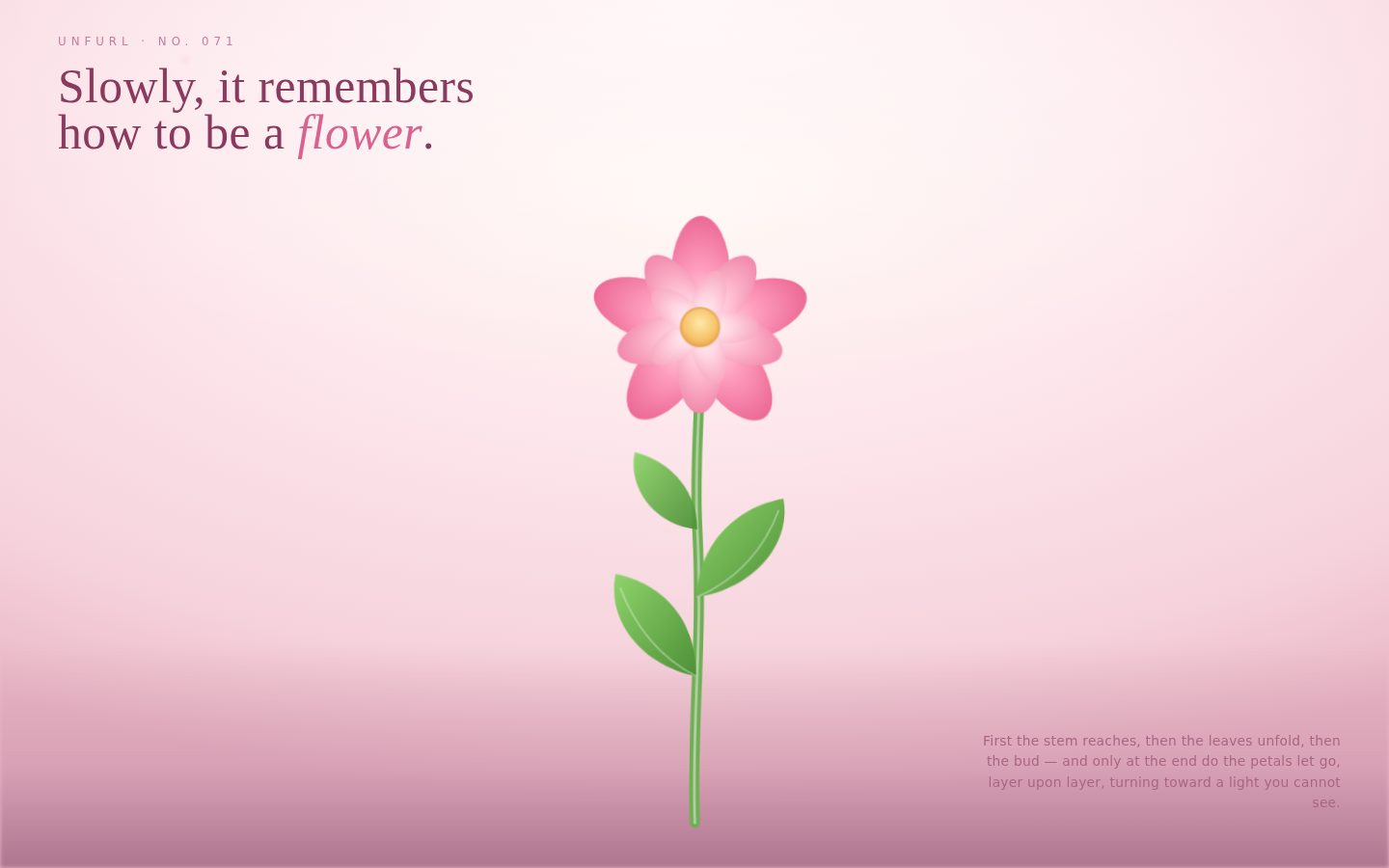 UNFURL · Slowly, It Blooms screenshot
