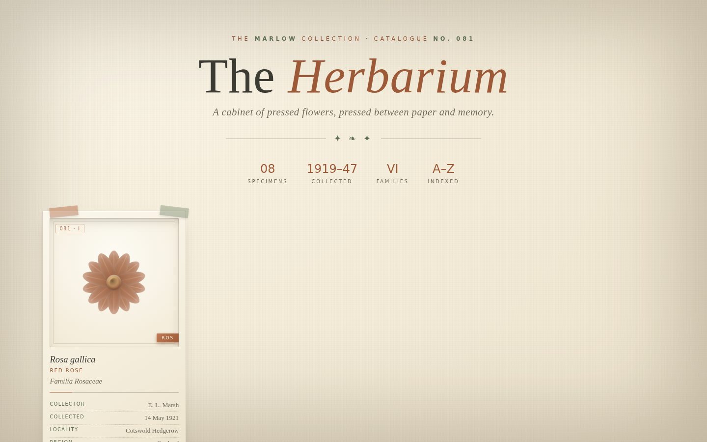 The Herbarium — A Cabinet of Pressed-Flower Specimens screenshot