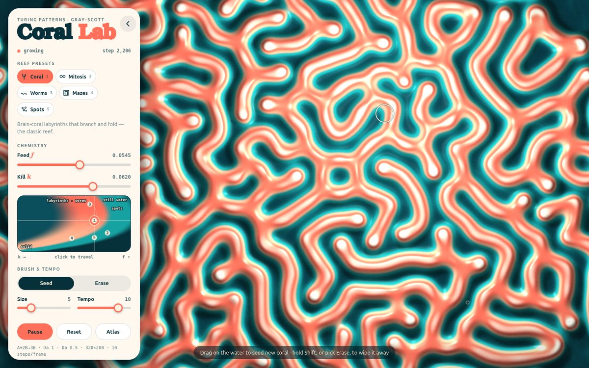 Coral Lab Reef Simulator screenshot
